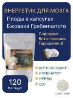 Плоды молотые Ежовика Гребенчатого 120 капсул Плоды молотые Ежовика Гребенчатого 120 капсул