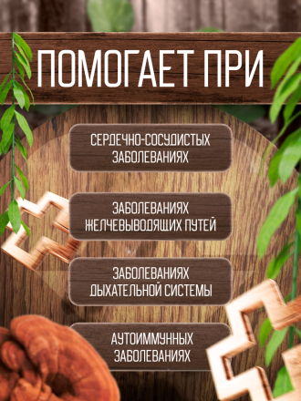 лечебные свойства гриба рейши