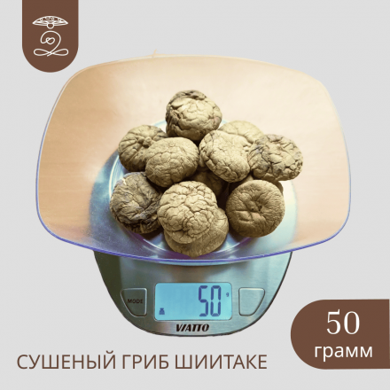 гриб шиитаке сушеный