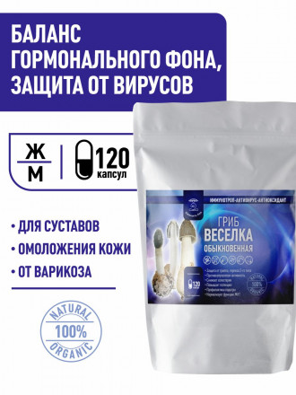 гриб веселка купить