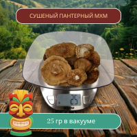 ПАНТЕРНЫЙ ГРИБ Алтайский сушеные шляпки  25 грамм