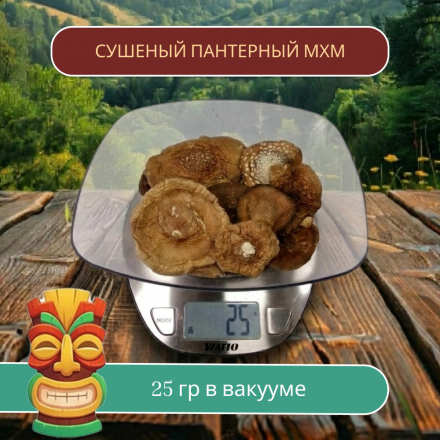 ПАНТЕРНЫЙ ГРИБ Алтайский сушеные шляпки  25 грамм