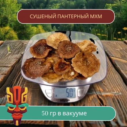 Шляпки пантерного мухомора 50 грамм