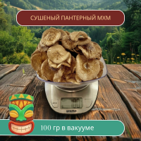 ПАНТЕРНЫЙ ГРИБ Алтайский сушеные шляпки 100 грамм