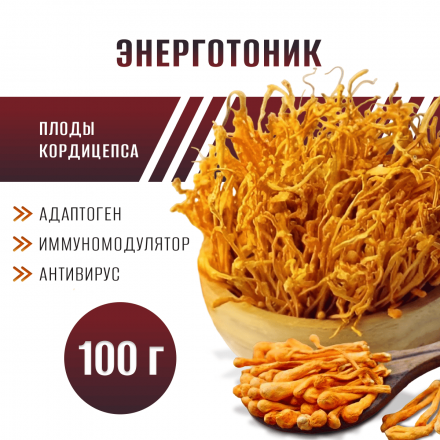 Купить гриб кордицепс