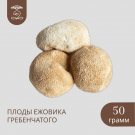 Плоды целые ЕЖОВИКА Гребенчатого 50 грамм Плоды целые ЕЖОВИКА Гребенчатого 50 грамм