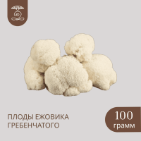 Плоды целые ЕЖОВИКА Гребенчатого 100 грамм Плоды целые ЕЖОВИКА Гребенчатого 100 грамм
