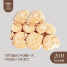 Плоды целые Дикорастущего ЕЖОВИКА Гребенчатого 200 грамм Плоды целые Дикорастущего ЕЖОВИКА Гребенчатого 200 грамм