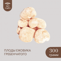 Плоды целые ЕЖОВИКА Гребенчатого 300 грамм Плоды целые ЕЖОВИКА Гребенчатого 300 грамм
