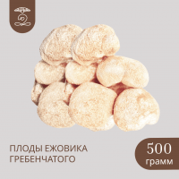 Плоды целые ЕЖОВИКА Гребенчатого 500 грамм Плоды целые ЕЖОВИКА Гребенчатого 500 грамм