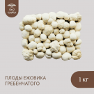 Плоды целые ЕЖОВИКА Гребенчатого 1000 грамм Плоды целые ЕЖОВИКА Гребенчатого 1000 грамм